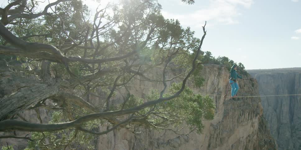 A person is walking a tightrope behind a tree