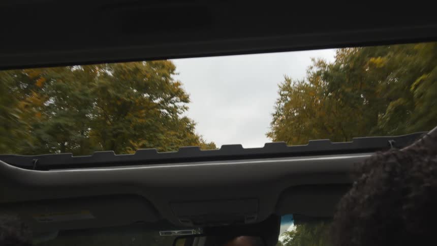 A car driving beneath trees with an open sunroof