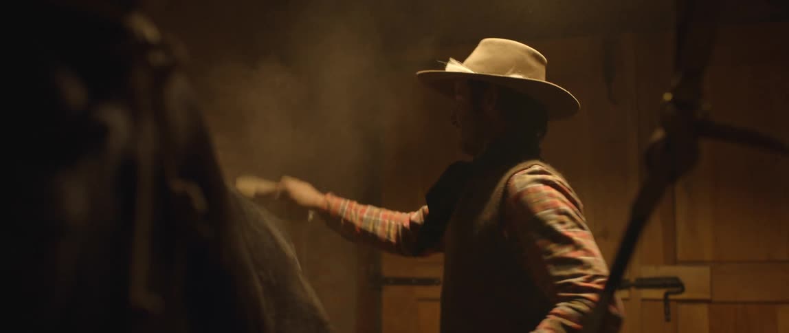 A person brushing a horse inside a stable