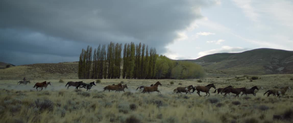 Herd of wild horses running across prairie with a mountain range in the background and a cloudy sky