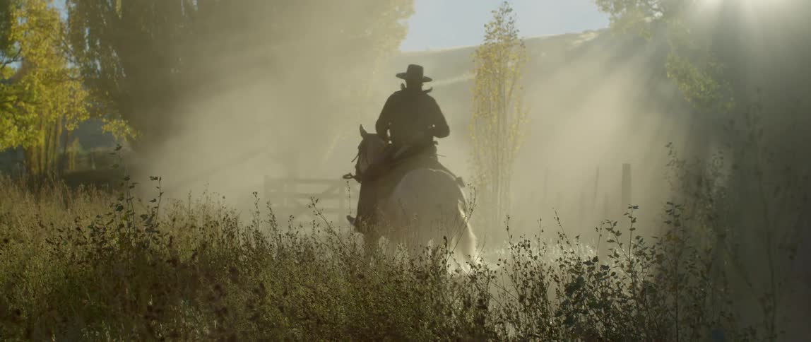 A man riding a horse through a field as the sun shines down