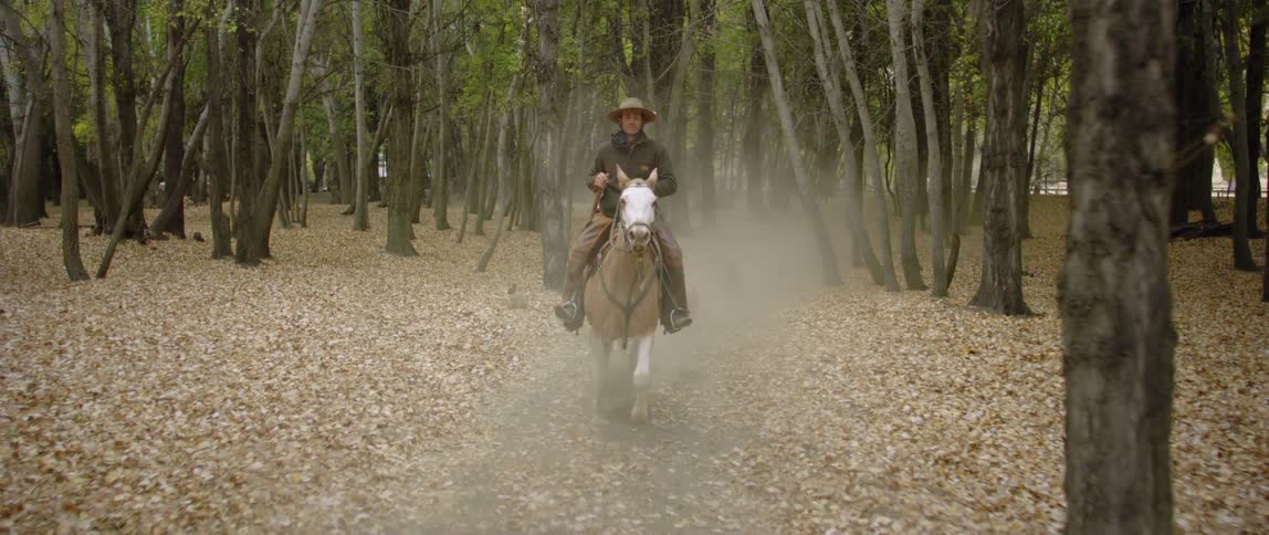 Cowboy riding over a horse in a dusty dirt road through the forest
