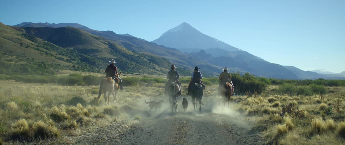A group of people rides horses in a mountainside rural area with dogs following them