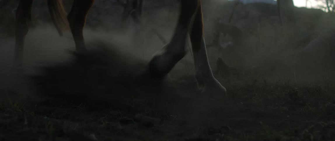 A horse kicks up dirt as it repeatedly paws the ground