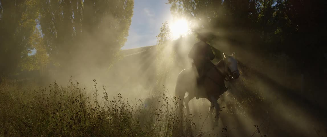 Man with a cowboy hat rides a brown horse in the morning sunlight and dog follows him