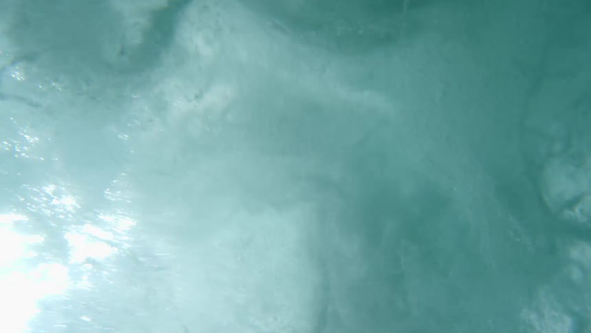 A view of under an ocean is displayed
