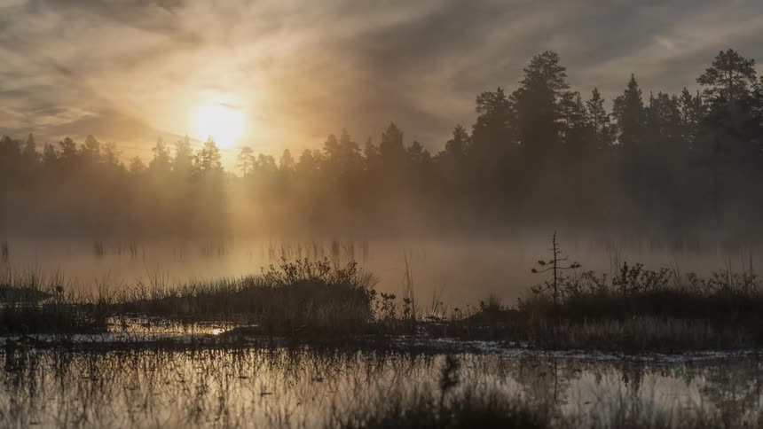 Mist moves over a body of water at dawn in a marsh