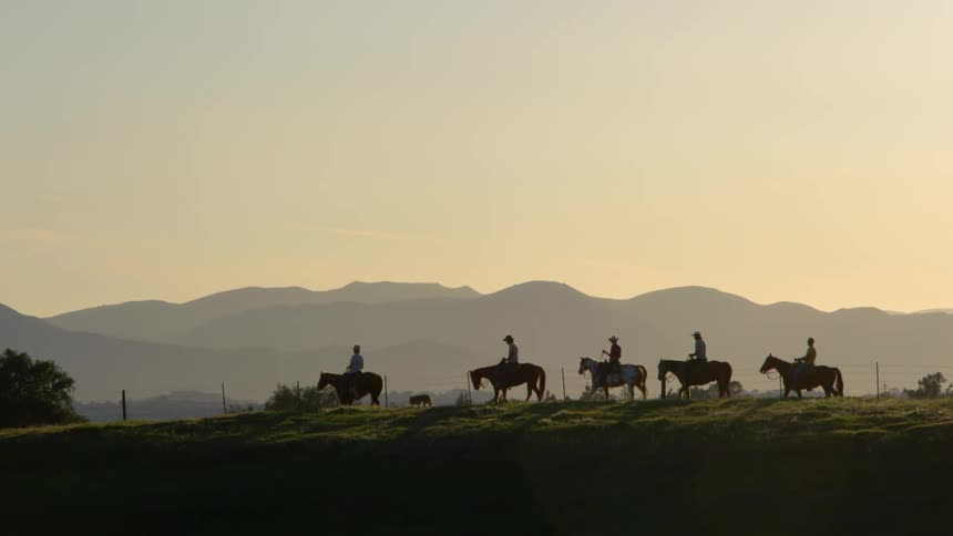 A group of people ride horses along the top of a hill as a dog walks alongside them in the evening