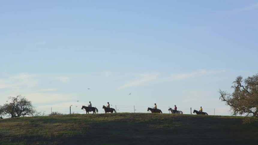 Group of cowboys riding horses over the green grass of a hill
