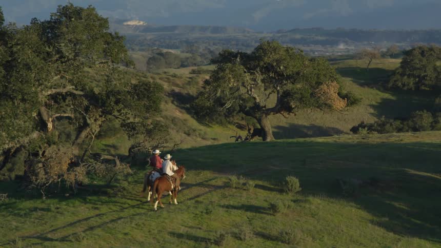 A dog runs to catch up to two cowboys on horseback