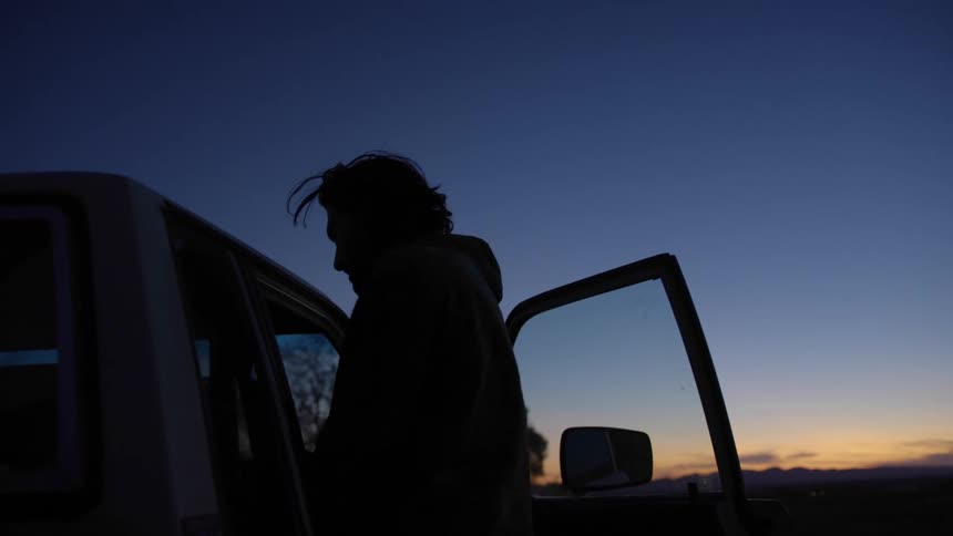 A man approaches a parked truck and opens the door to take something out and walks away