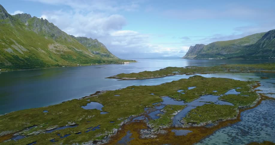 Thick moss covers the land between a fjord where a handful of homes dot the shore