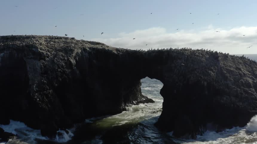 An aerial view of a rock formation in the ocean with birds in daytime