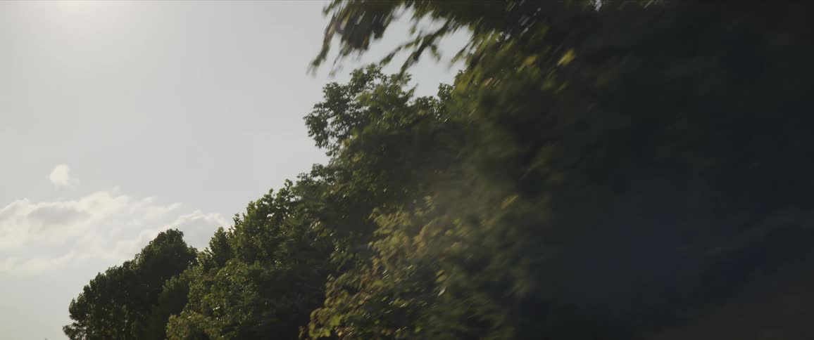 Sunlight shining over the passing trees on a clear day