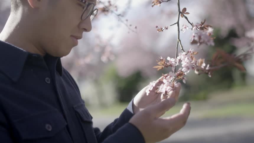 A man touches and looks at the blossoms on a tree