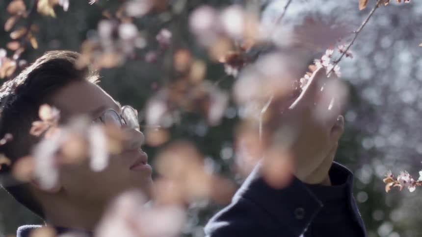 Man touching some pink blossoms from a tree