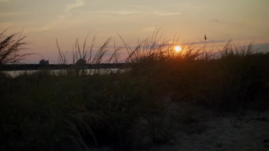 Tall grass waving in the wind near the river at sunset