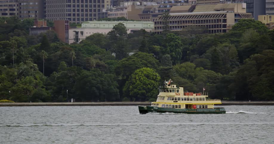 A green and yellow ferry moves on a body of water against a skyline with buildings and trees