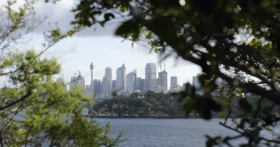 A view of a body of water with a city view in the background