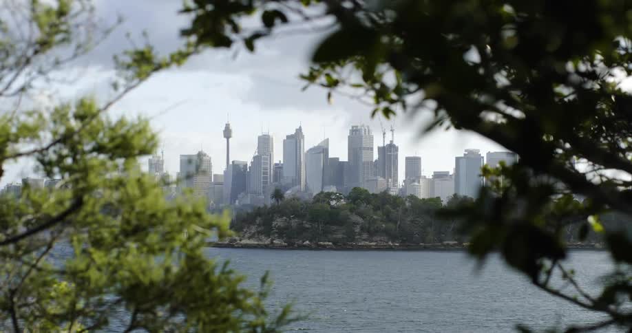 Big city skyline with tall buildings next to the river seen through tree branches