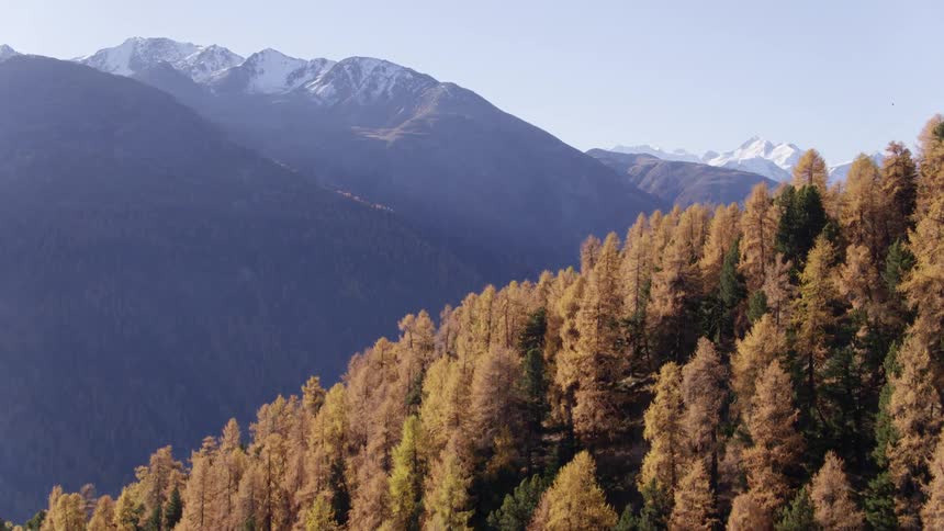 Tree covered slope in front of snow capped mountain range on a sunny fall day