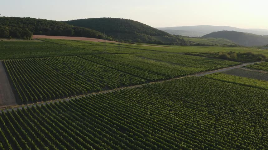 Aerial view of a field of crops near the hills at sunset