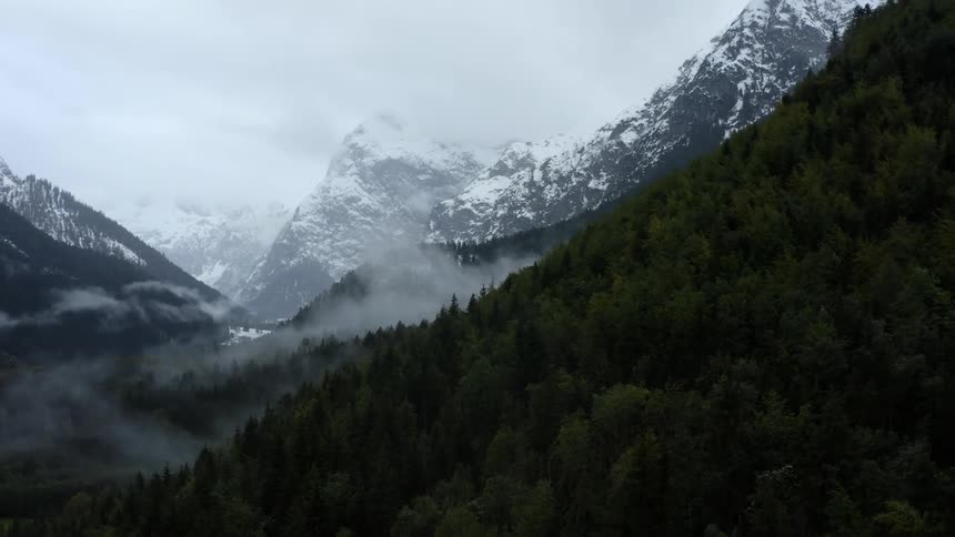 Aerial view of trees covering mountains is displayed