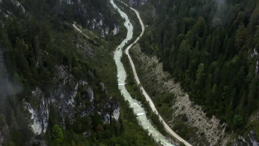 A river flowing through a mountain forest with pine trees