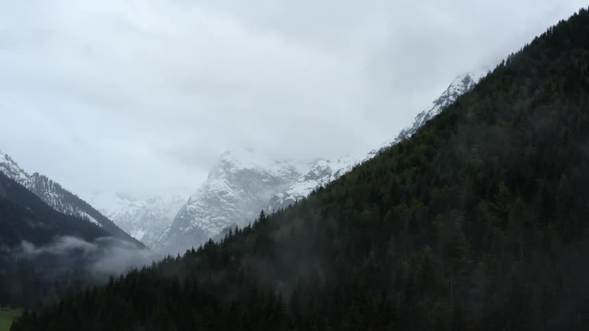 Trees are covering the mountains