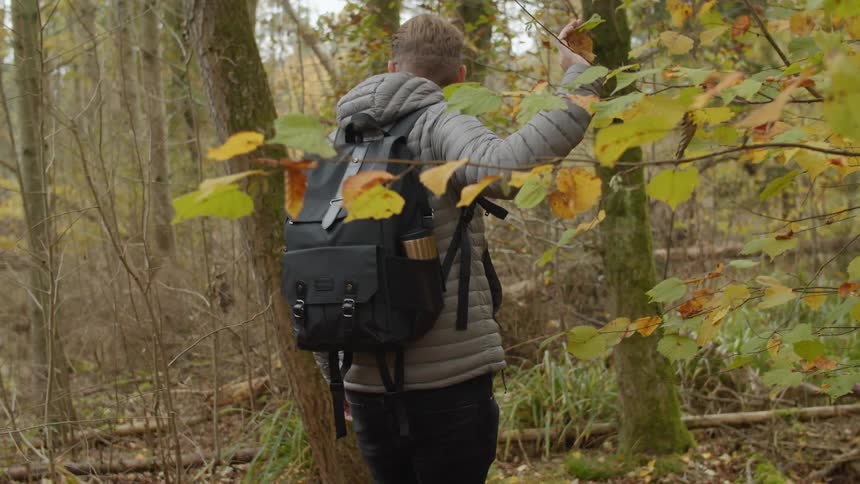 Man pushes back a tree branch while walking through a forest at daytime