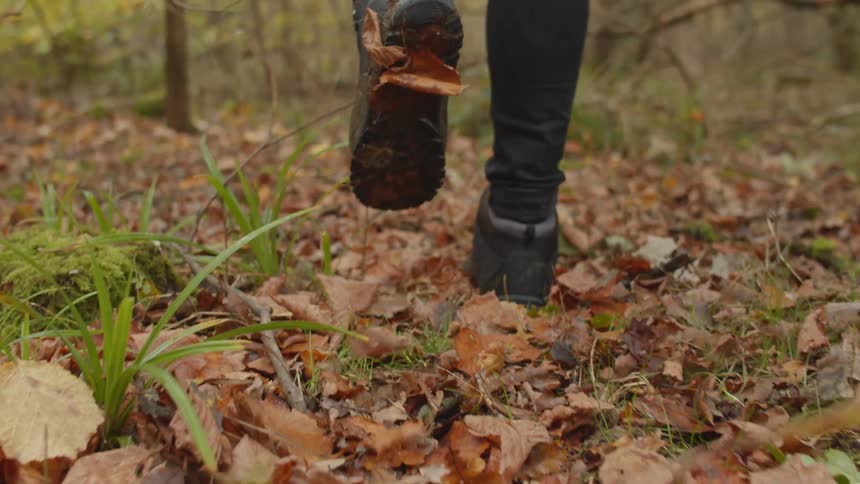 Person with black pants and boots walks on brown leaves in the woods