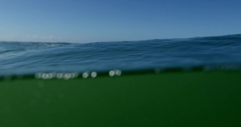 Ocean waves are moving in the water