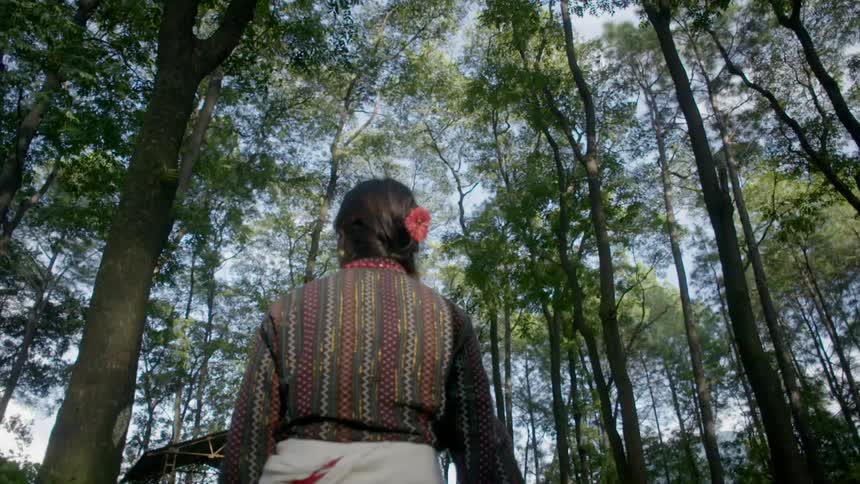 Woman walking through the wilderness filled with very tall trees