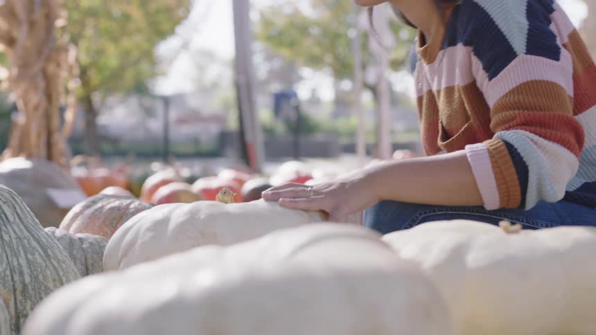 A teenage girl looks through a pumpkin patch