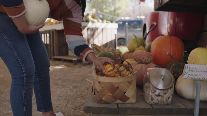 A woman holds a pumpkin at an ourdoor market and bends over to look at more tiny pumpkins on display