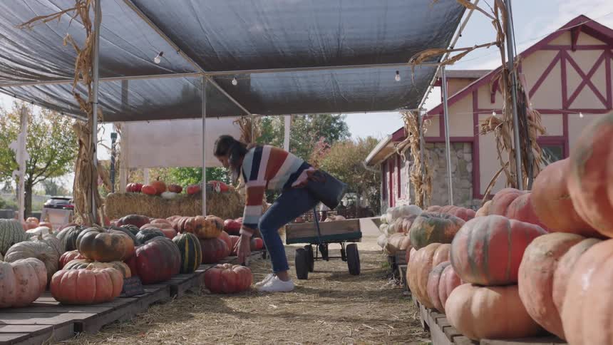 A woman pulls a wagon in an aisle of an outdoor market with pumpkins displayed on a sunny day