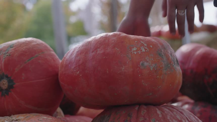 A person places a pumpkin on a pile of pumpkins inside a produce stand