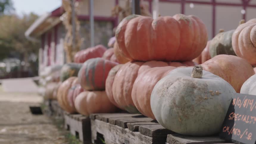 Pumpkins at a pumpkin stand