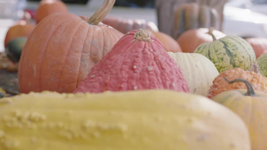 Several colorful pumpkins and gourds sitting on a table