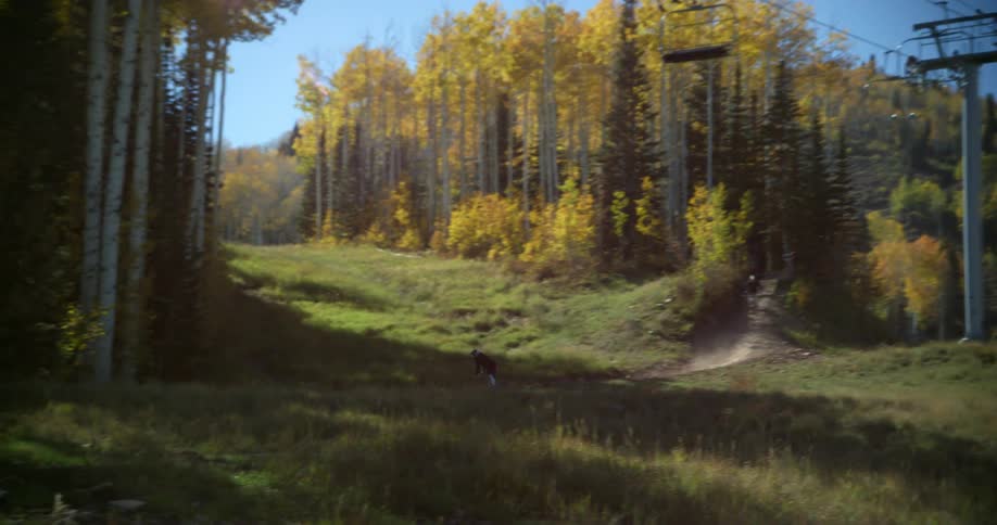 Two cyclists drive mountain bikes down a dirt path through the forest