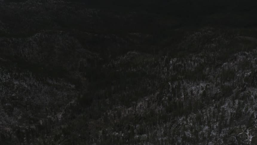Aerial view of a forest is displayed