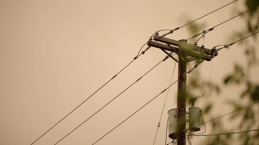 Utility pole with wires and a tree blowing in the wind