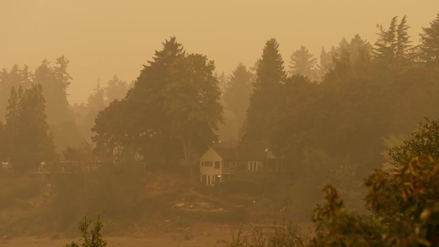 Orange tinted fog surrounds house sitting on stilts near conifer forest