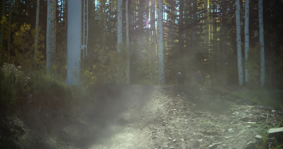 Three men on bicycles jump from a small hill on a trail in the forest