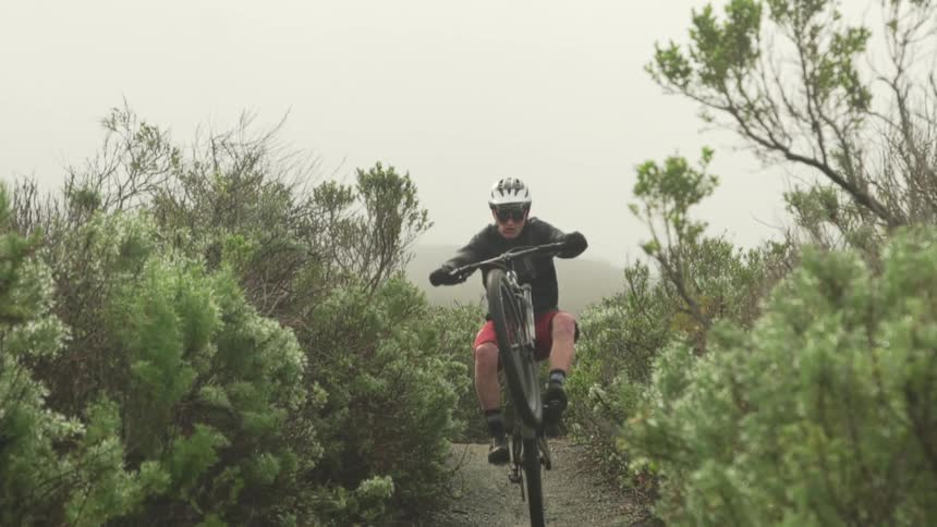 Person wearing helmet rides bicycle along trail through bushes popping a wheelie