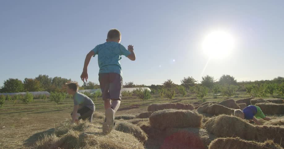 Group of boys playing over a pile of hay bales in a field on a sunny day