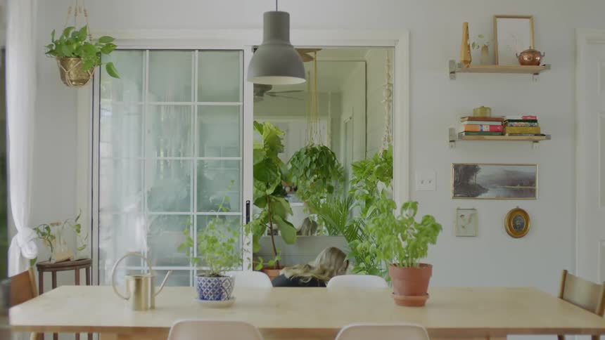 Woman places houseplant on floor near dining room then stands and stretches