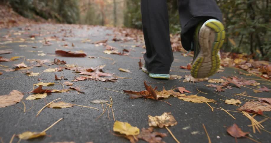 A person walking down a forest trail
