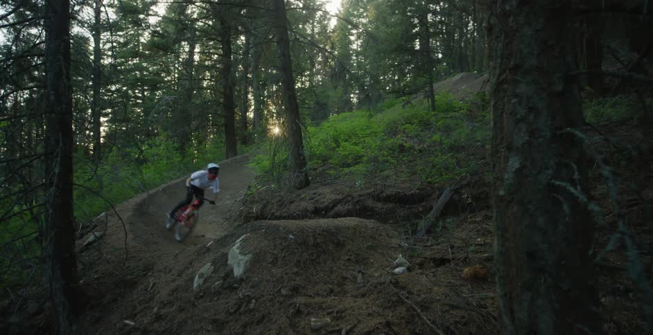 A person rides a mountain bike on a dirt road and over a ramp in the middle of a forest