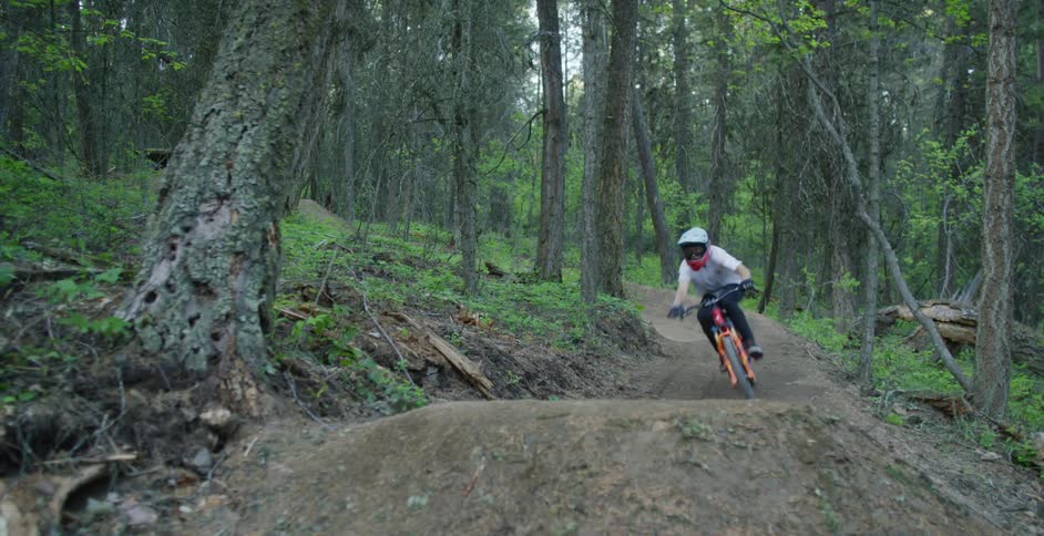 Man on a bmx bike performing a jump on a small slope in the forest at daytime